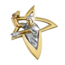 Aplique Estrela Dourada Árbitro